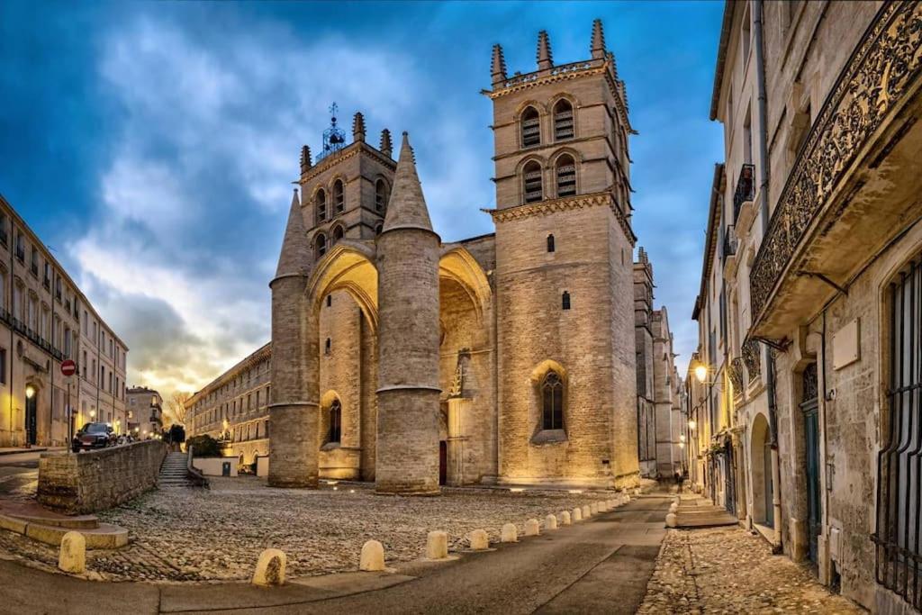 Apartamento Studio Au Coeur Historique De Montpellier, 2 Personnes & Wifi Exterior foto